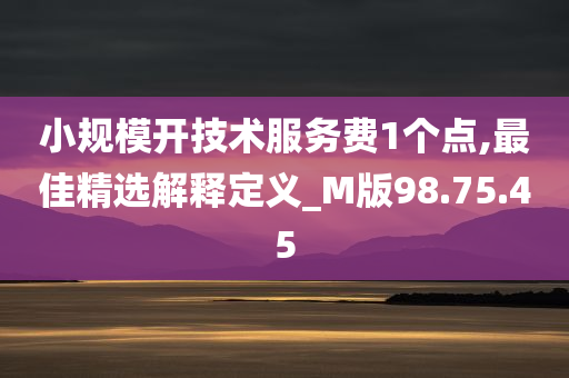 小规模开技术服务费1个点,最佳精选解释定义_M版98.75.45