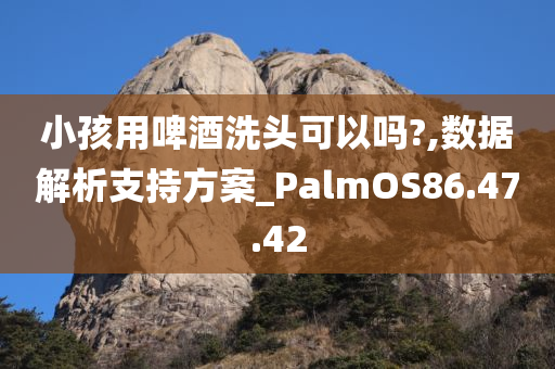 小孩用啤酒洗头可以吗?,数据解析支持方案_PalmOS86.47.42