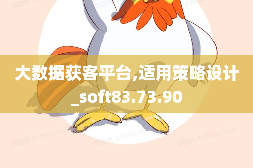 大数据获客平台,适用策略设计_soft83.73.90