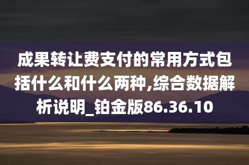 成果转让费支付的常用方式包括什么和什么两种,综合数据解析说明_铂金版86.36.10