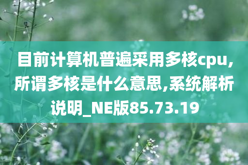 目前计算机普遍采用多核cpu,所谓多核是什么意思,系统解析说明_NE版85.73.19