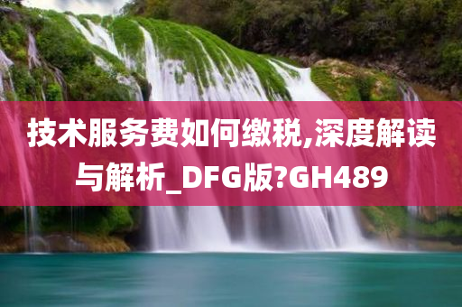 技术服务费如何缴税,深度解读与解析_DFG版?GH489