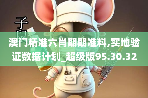 澳门精准六肖期期准料,实地验证数据计划_超级版95.30.32