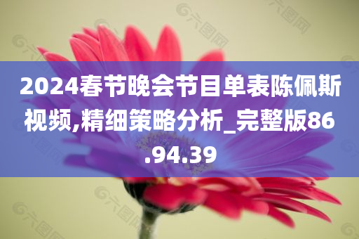 2024春节晚会节目单表陈佩斯视频,精细策略分析_完整版86.94.39