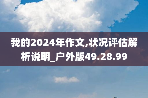 我的2024年作文,状况评估解析说明_户外版49.28.99