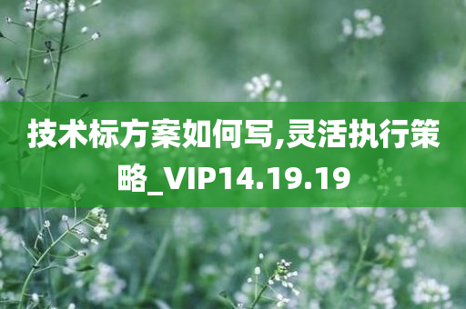 技术标方案如何写,灵活执行策略_VIP14.19.19