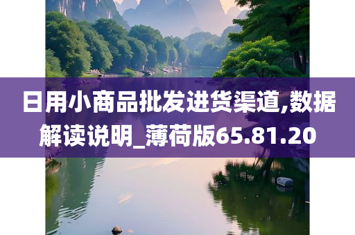 日用小商品批发进货渠道,数据解读说明_薄荷版65.81.20