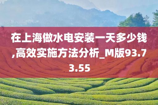 在上海做水电安装一天多少钱,高效实施方法分析_M版93.73.55