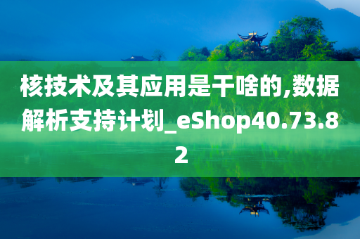 核技术及其应用是干啥的,数据解析支持计划_eShop40.73.82