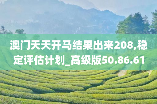 澳门天天开马结果出来208,稳定评估计划_高级版50.86.61