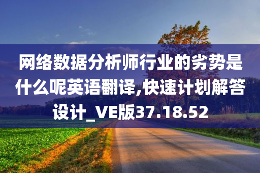 网络数据分析师行业的劣势是什么呢英语翻译,快速计划解答设计_VE版37.18.52