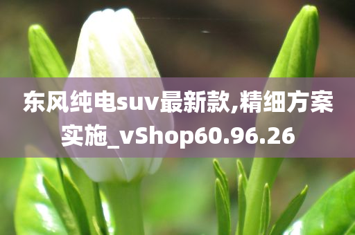 东风纯电suv最新款,精细方案实施_vShop60.96.26