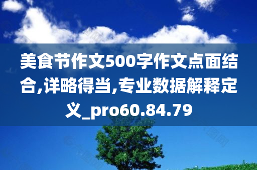 美食节作文500字作文点面结合,详略得当,专业数据解释定义_pro60.84.79