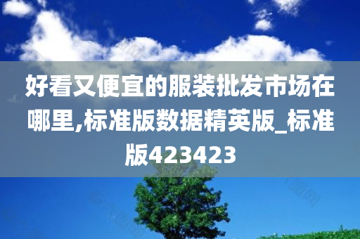 好看又便宜的服装批发市场在哪里,标准版数据精英版_标准版423423