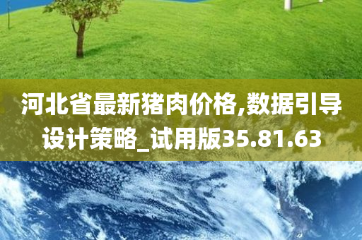 河北省最新猪肉价格,数据引导设计策略_试用版35.81.63