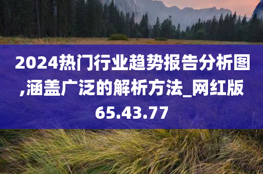 2024热门行业趋势报告分析图,涵盖广泛的解析方法_网红版65.43.77