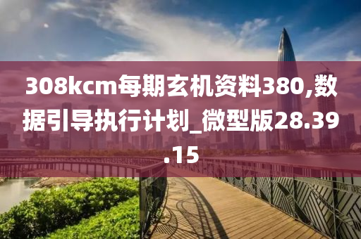 308kcm每期玄机资料380,数据引导执行计划_微型版28.39.15