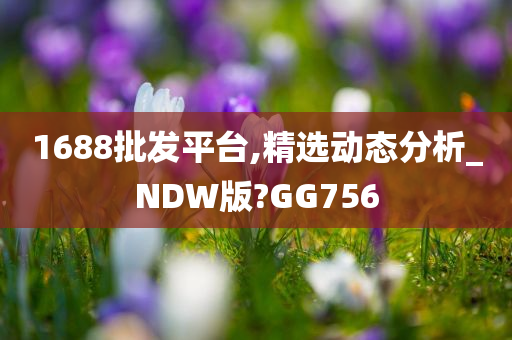 1688批发平台,精选动态分析_NDW版?GG756