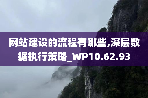 网站建设的流程有哪些,深层数据执行策略_WP10.62.93