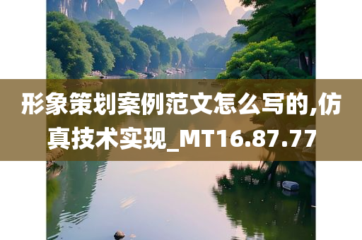 形象策划案例范文怎么写的,仿真技术实现_MT16.87.77