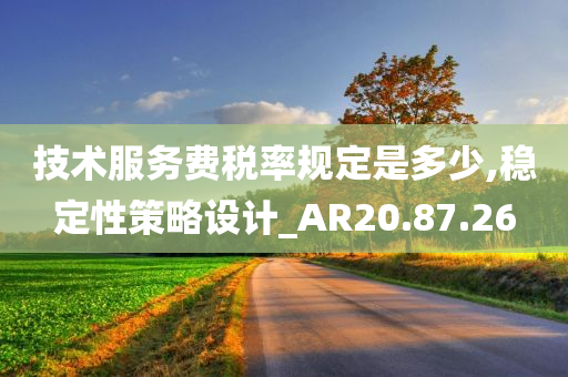 技术服务费税率规定是多少,稳定性策略设计_AR20.87.26