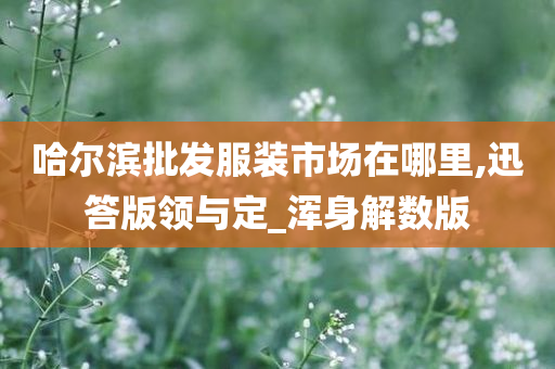 哈尔滨批发服装市场在哪里,迅答版领与定_浑身解数版