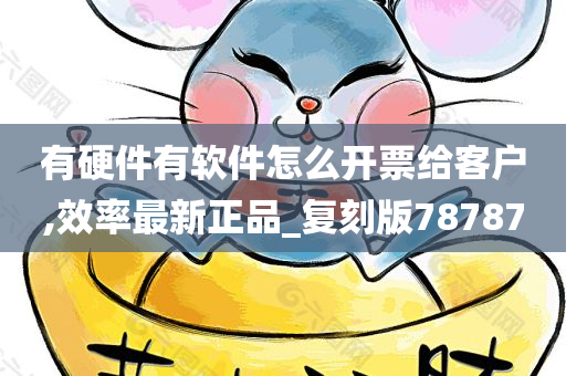 有硬件有软件怎么开票给客户,效率最新正品_复刻版78787