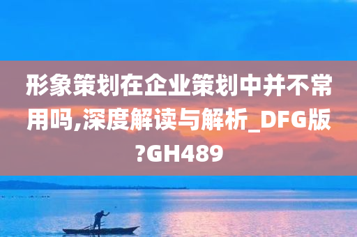 形象策划在企业策划中并不常用吗,深度解读与解析_DFG版?GH489