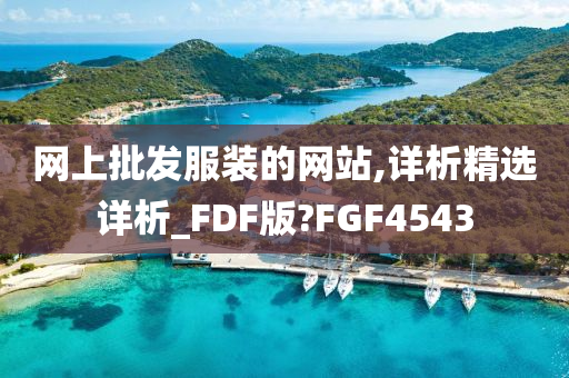 网上批发服装的网站,详析精选详析_FDF版?FGF4543