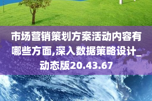 市场营销策划方案活动内容有哪些方面,深入数据策略设计_动态版20.43.67