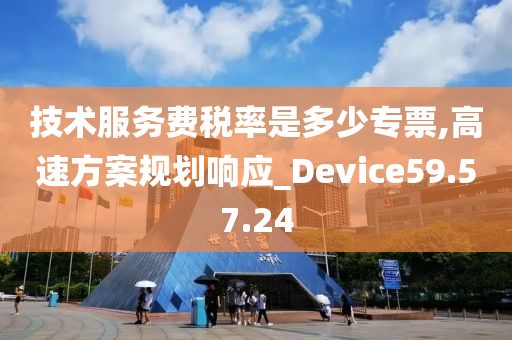 技术服务费税率是多少专票,高速方案规划响应_Device59.57.24