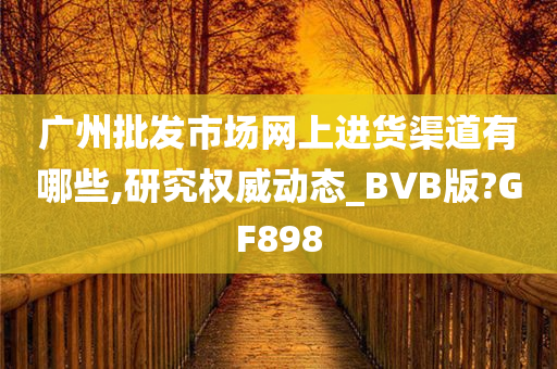 广州批发市场网上进货渠道有哪些,研究权威动态_BVB版?GF898