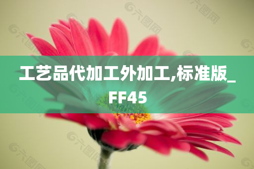 工艺品代加工外加工,标准版_FF45