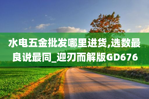 水电五金批发哪里进货,选数最良说最同_迎刃而解版GD676