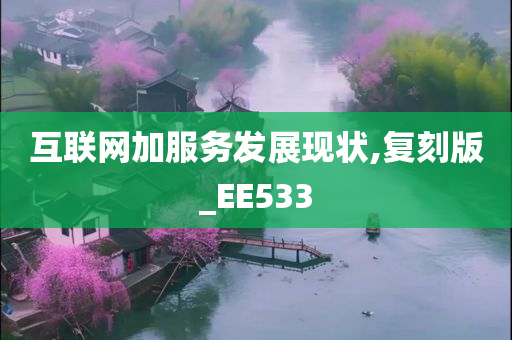 互联网加服务发展现状,复刻版_EE533