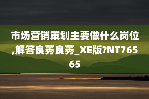 市场营销策划主要做什么岗位,解答良莠良莠_XE版?NT76565