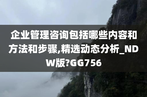 企业管理咨询包括哪些内容和方法和步骤,精选动态分析_NDW版?GG756