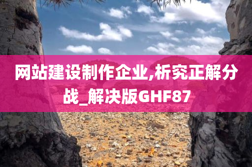 网站建设制作企业,析究正解分战_解决版GHF87