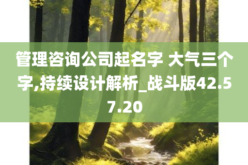 管理咨询公司起名字 大气三个字,持续设计解析_战斗版42.57.20