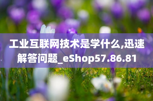 工业互联网技术是学什么,迅速解答问题_eShop57.86.81