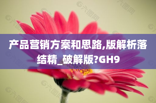 产品营销方案和思路,版解析落结精_破解版?GH9