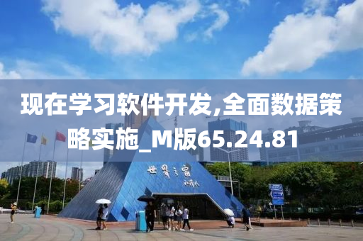 现在学习软件开发,全面数据策略实施_M版65.24.81