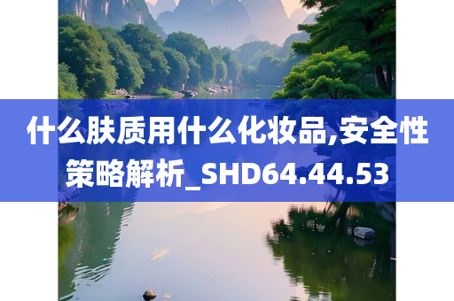 什么肤质用什么化妆品,安全性策略解析_SHD64.44.53