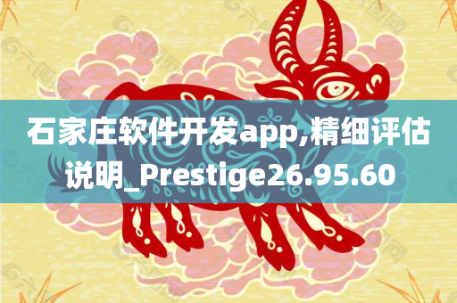 石家庄软件开发app,精细评估说明_Prestige26.95.60