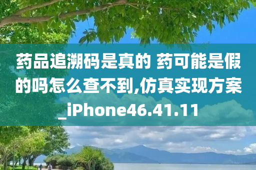 药品追溯码是真的 药可能是假的吗怎么查不到,仿真实现方案_iPhone46.41.11