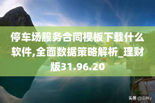 停车场服务合同模板下载什么软件,全面数据策略解析_理财版31.96.20