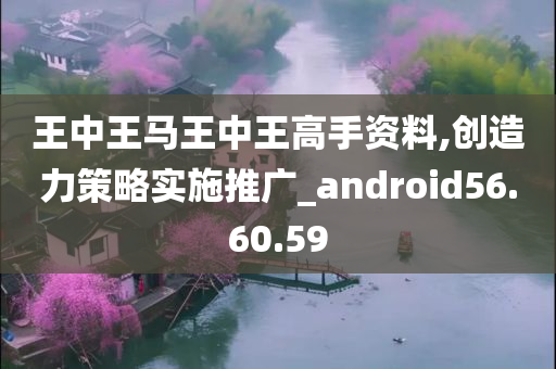 王中王马王中王高手资料,创造力策略实施推广_android56.60.59