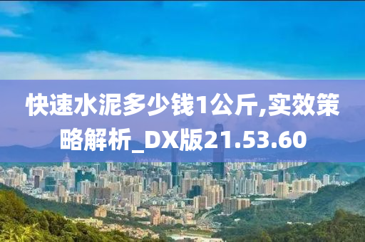 快速水泥多少钱1公斤,实效策略解析_DX版21.53.60