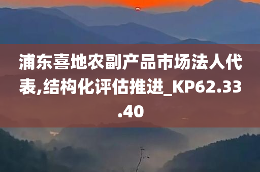 浦东喜地农副产品市场法人代表,结构化评估推进_KP62.33.40