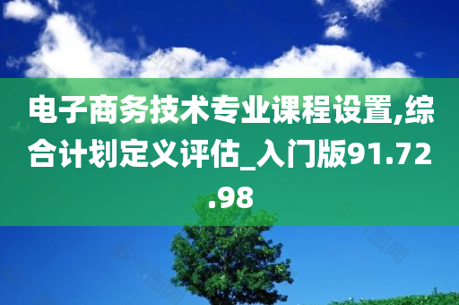 电子商务技术专业课程设置,综合计划定义评估_入门版91.72.98